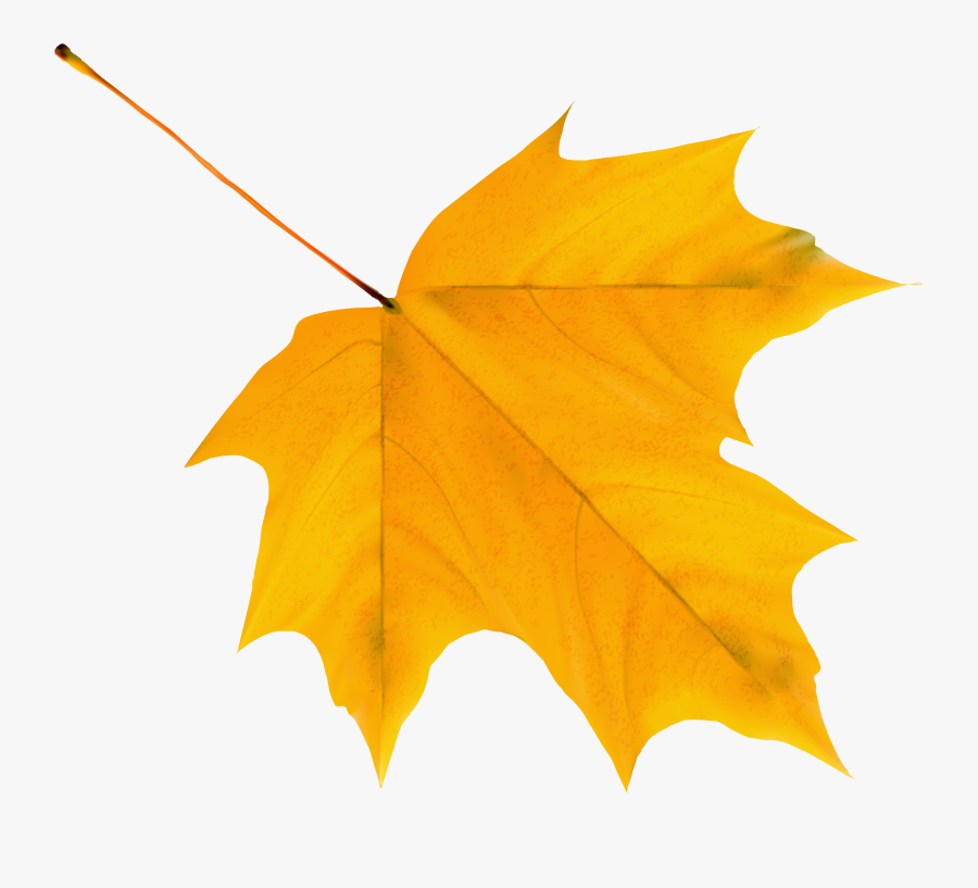 Autumn Leaf - Yellow Autumn Leaf Png, Transparent Clipart