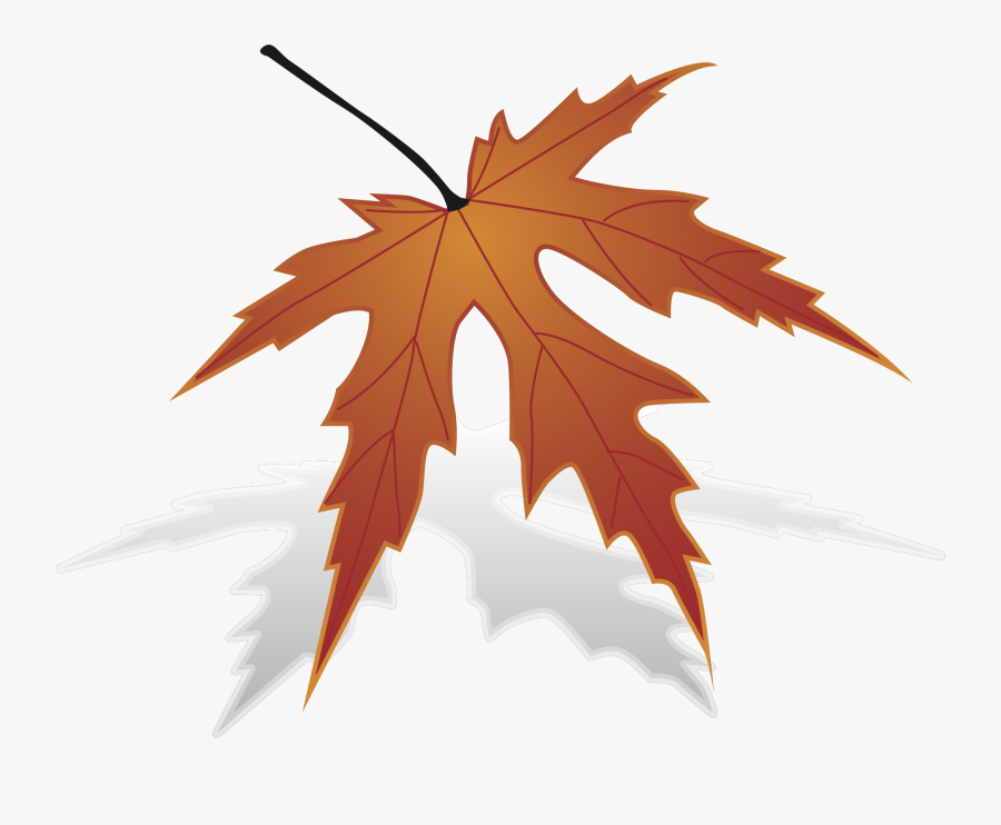 Maple Leaf Clipart Big Leaf Drawing Maple Leaf Free Transparent Clipart Clipartkey