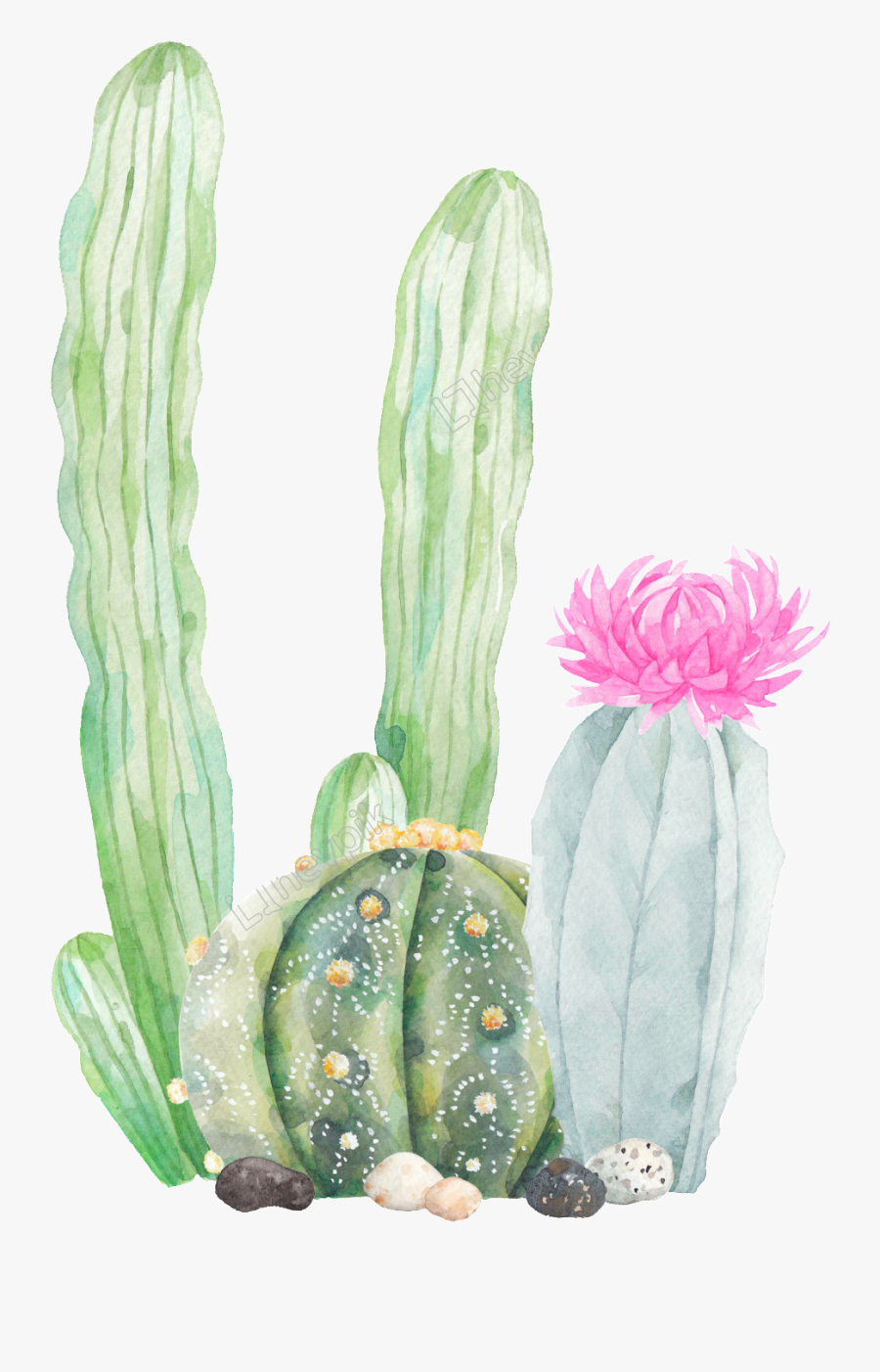 Transparent Cute Cactus Clipart - Transparent Background Cactus Clipart, Transparent Clipart