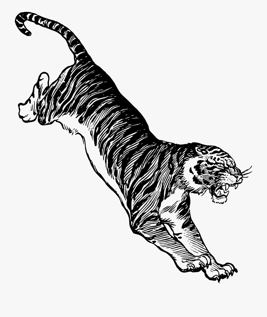 Clipart - Black And White Tiger Jumping, Transparent Clipart