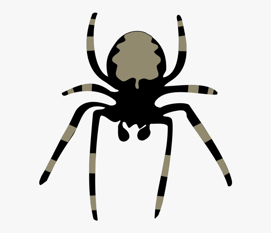 Spider Clip Art - Spider Clipart, Transparent Clipart