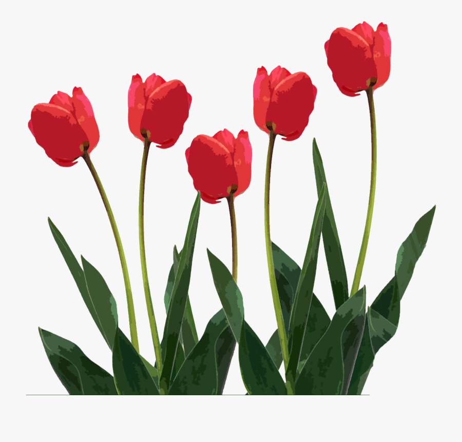 Mother S Day Clip Art For Friends Clipart Panda Free - Tulips Png Transparent Background, Transparent Clipart
