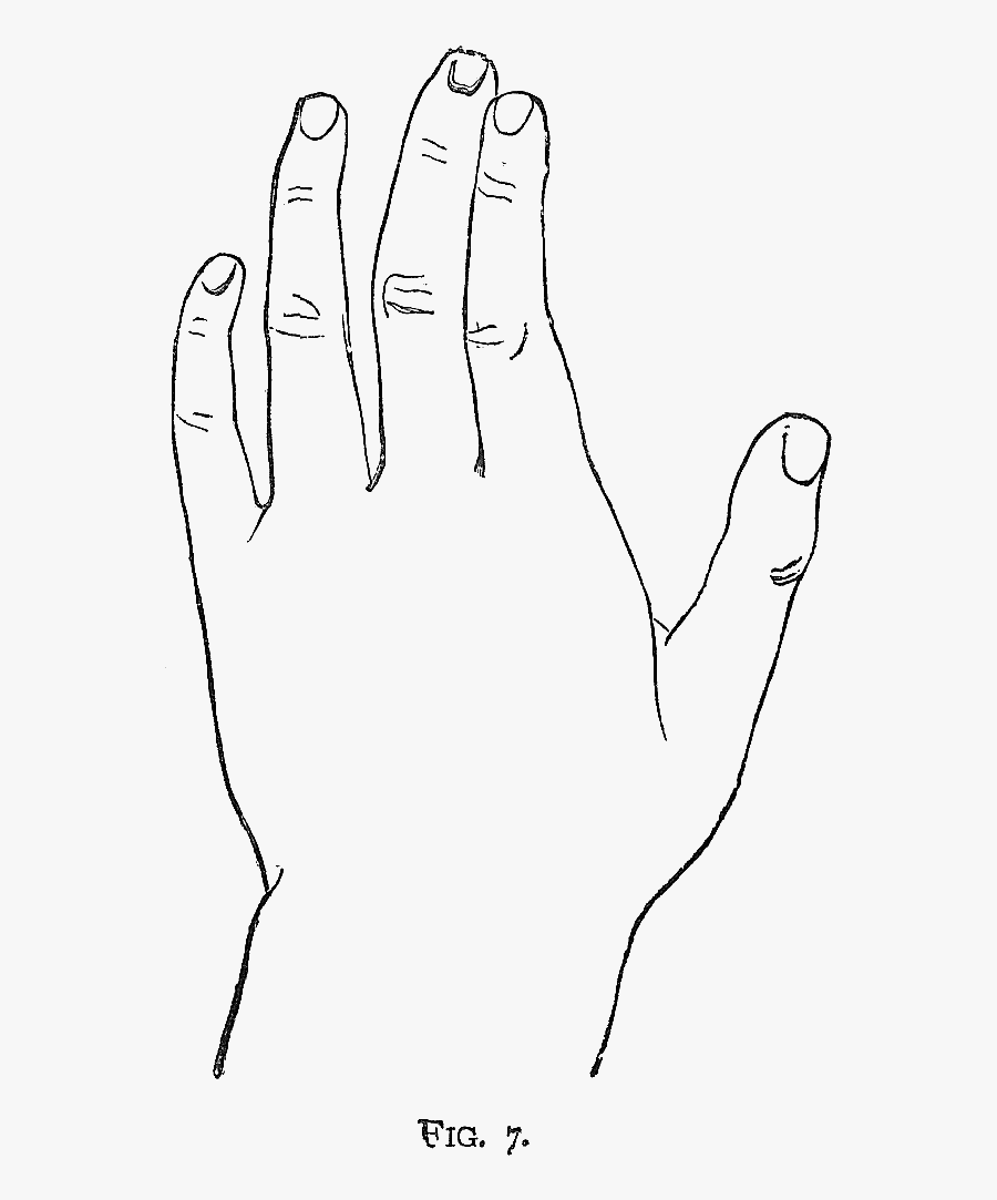Hand Black And White Two Hands Black And White Clipart - Sketch, Transparent Clipart