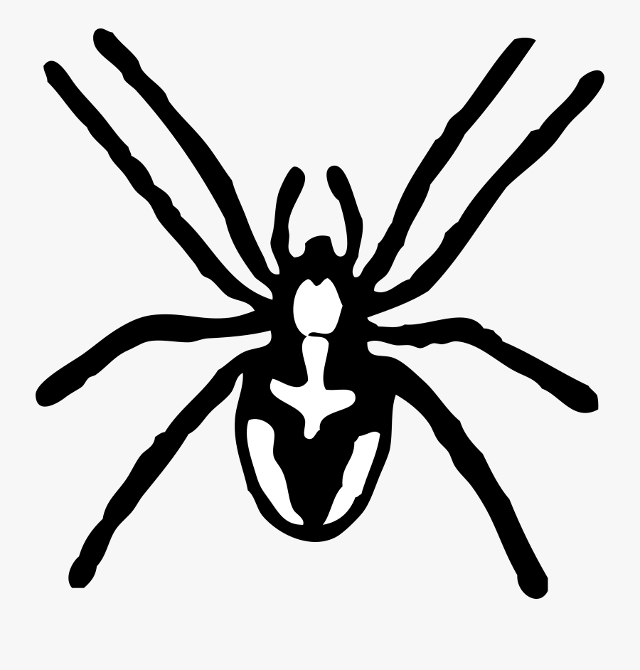 Spider Black And White Spider Clipart Black And White - Spider Black And White Clip Art, Transparent Clipart
