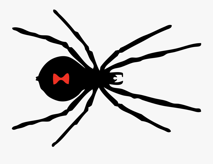 Spiders Gallery Isolated S By Nobacks Clip Art - Black Widow Spider Mark, Transparent Clipart