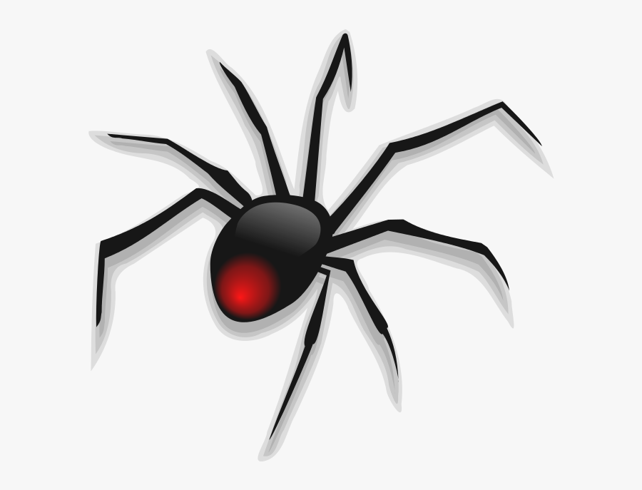Spider Clipart Images 8 Spider Clip Art Vector Image - Spider Clipart Png, Transparent Clipart