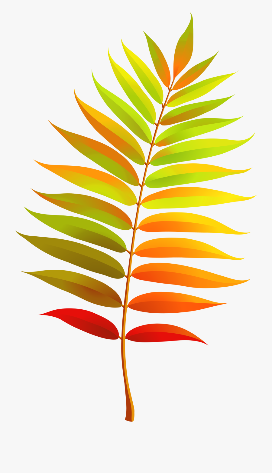 Colorful Transparent Fall Leaf Clipart - Colour Full Leaf Png, Transparent Clipart