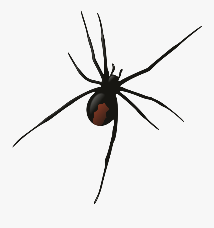 Red Back Spider Silhouette, Transparent Clipart
