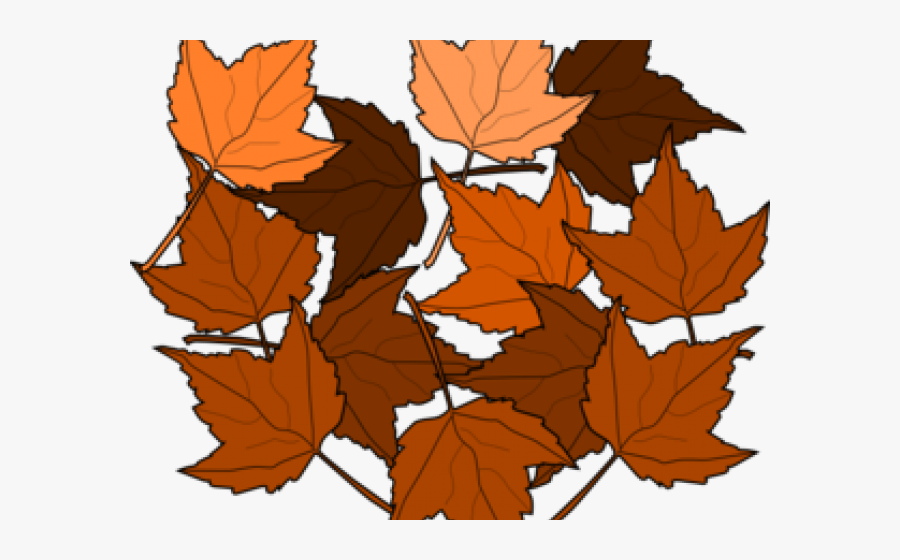 Dried Leaves Clipart, Transparent Clipart