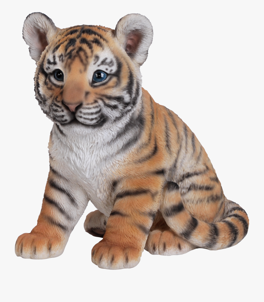 Tiger Cub Baby Triger Photo - Tiger Baby, Transparent Clipart