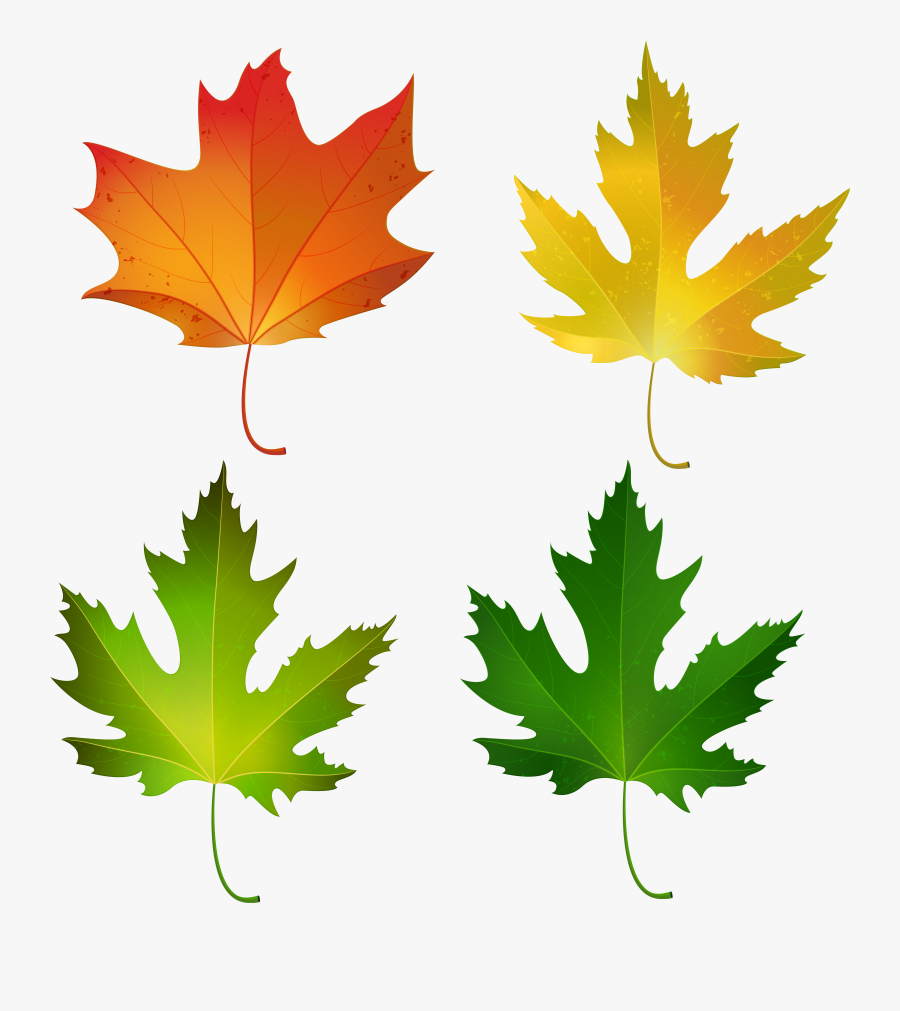Fall Maple Leaves Set Png Decorative Clipart Image, Transparent Clipart