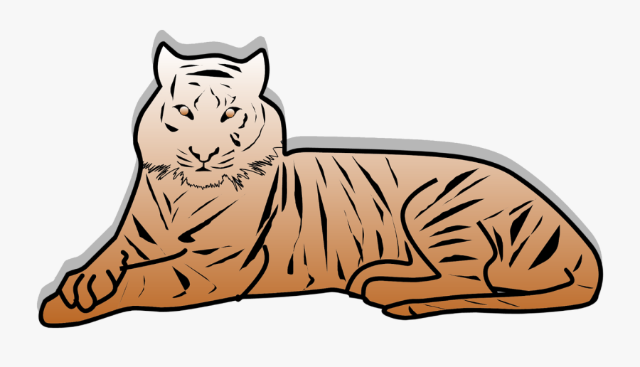 Outline Of A Tiger Clipart , Png Download - Outline Of Tiger, Transparent Clipart