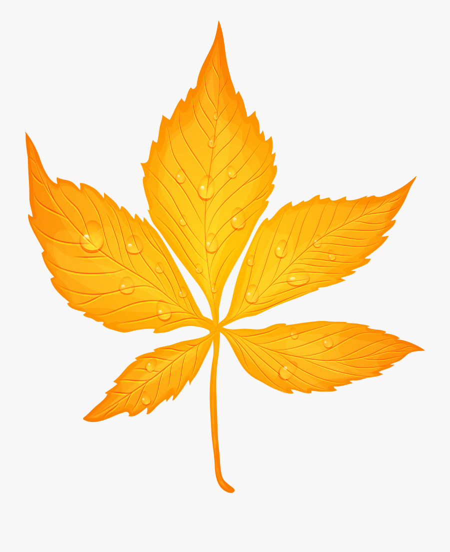 Leaves Clipart Red Fall Leaves - Yellow Autumn Leaf Png, Transparent Clipart