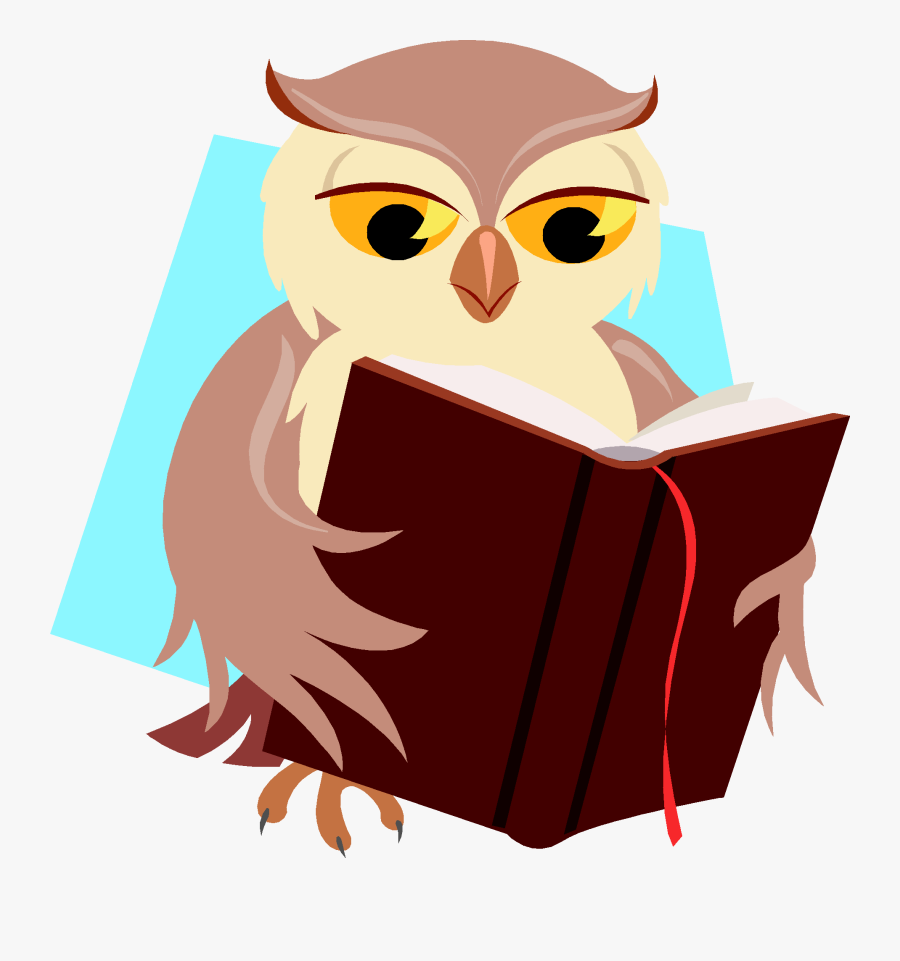Reading Owl Clipart Schliferaward Transparent Png - Owl Reading A Book, Transparent Clipart