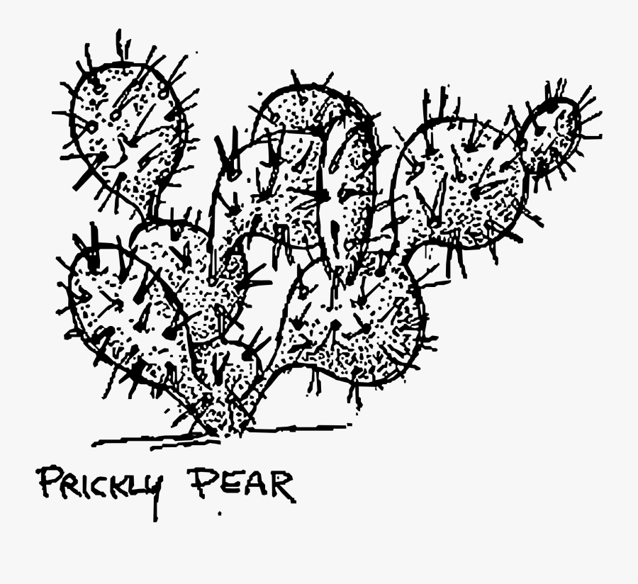 Prickly Pear Cactus Drawing At Getdrawings - Clip Art Prickly Pear Cactus, Transparent Clipart