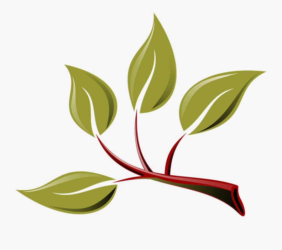 Tree Branch Shop Of - Branch With Leaves Clipart, Transparent Clipart