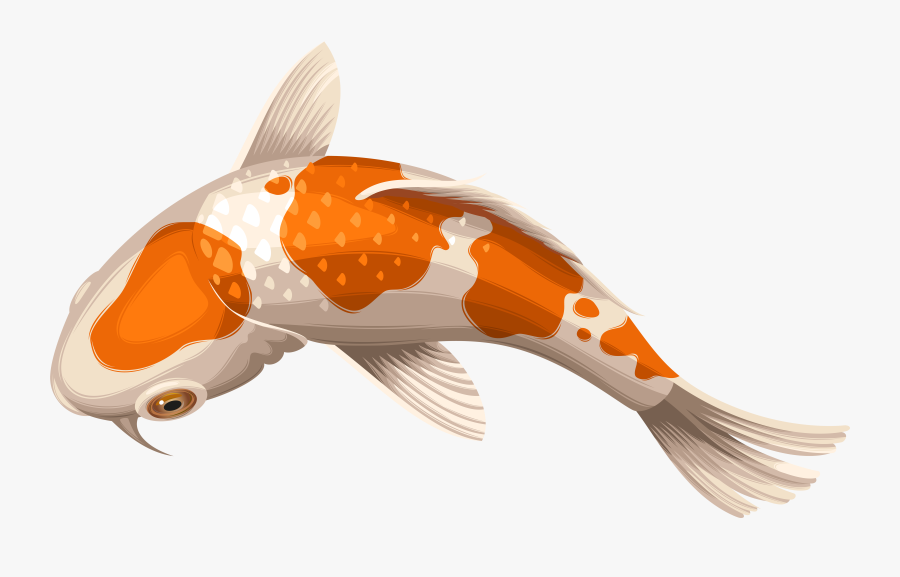 Transparent Fishes Png - Koi Fish Transparent Background, Transparent Clipart