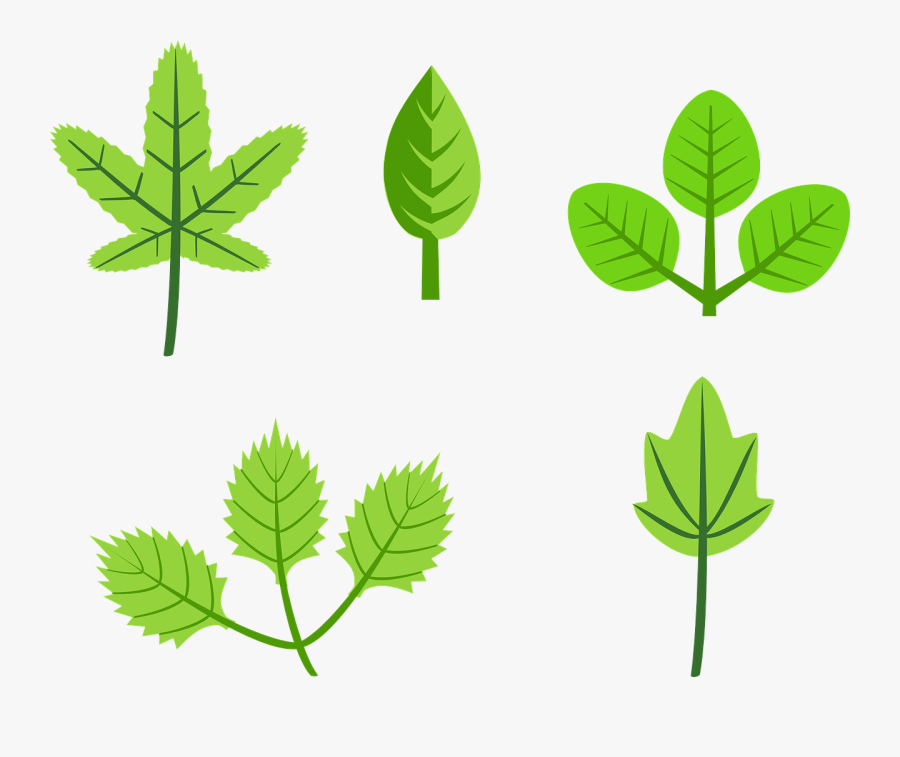 Leaf Clipart Vector - Leaves Clip Art, Transparent Clipart