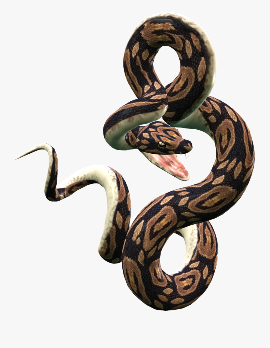 Snake Png, Transparent Clipart