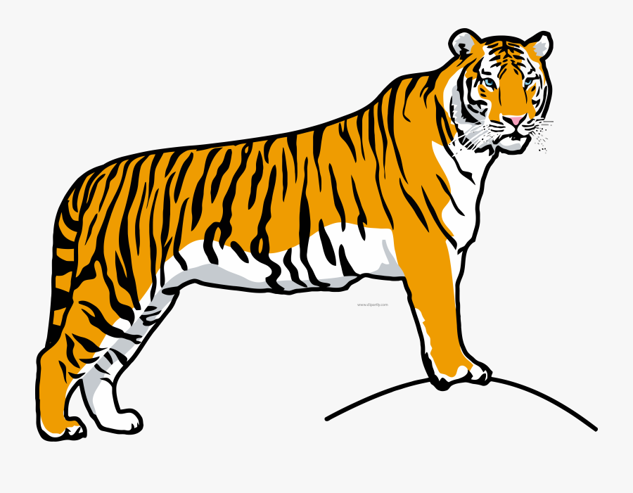 Transparent White Tiger Clipart - Animal Images For Colouring, Transparent Clipart