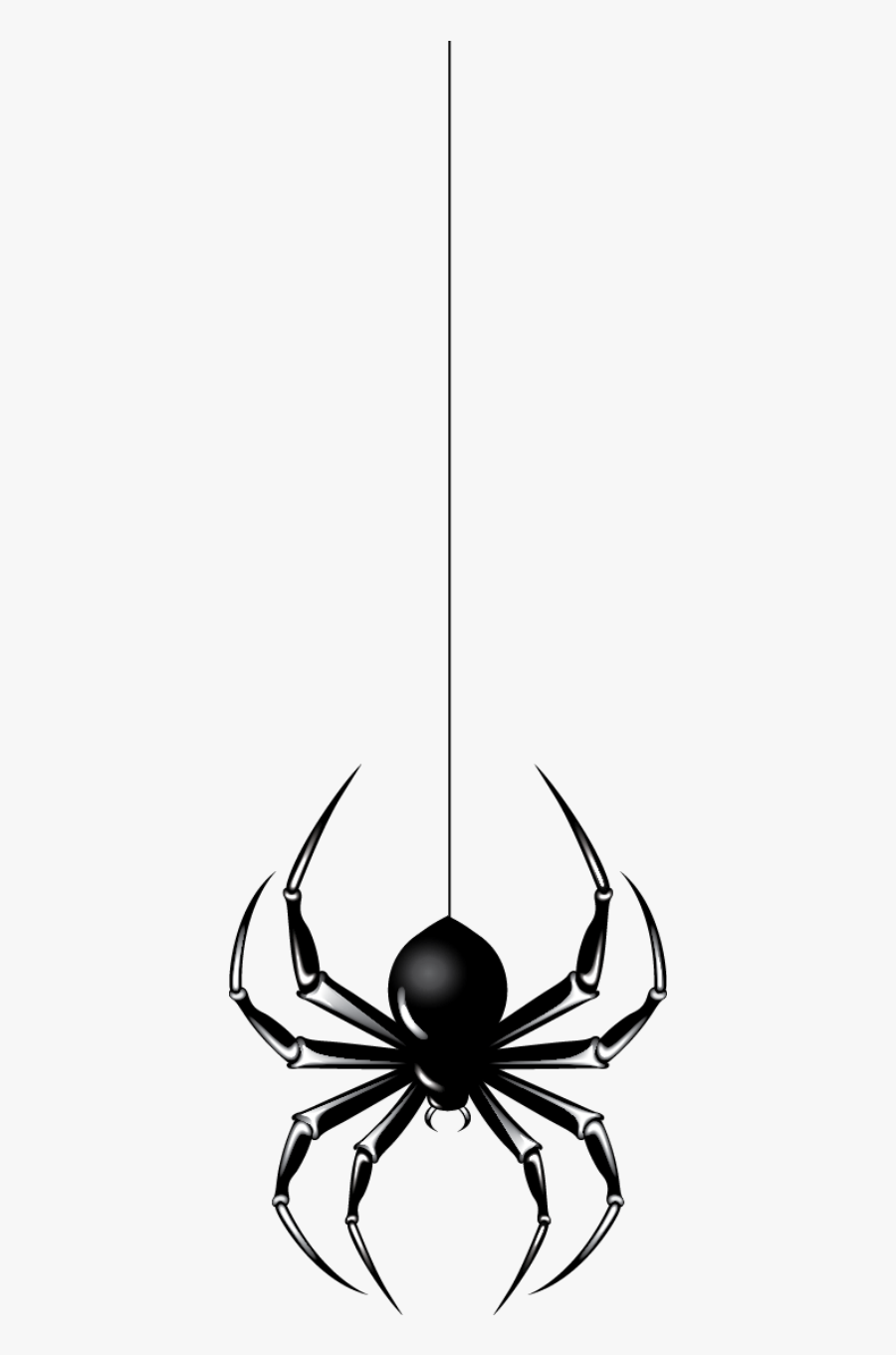 Halloween Black Spider Png Clipart - Spider Hanging From Web Draw, Transparent Clipart