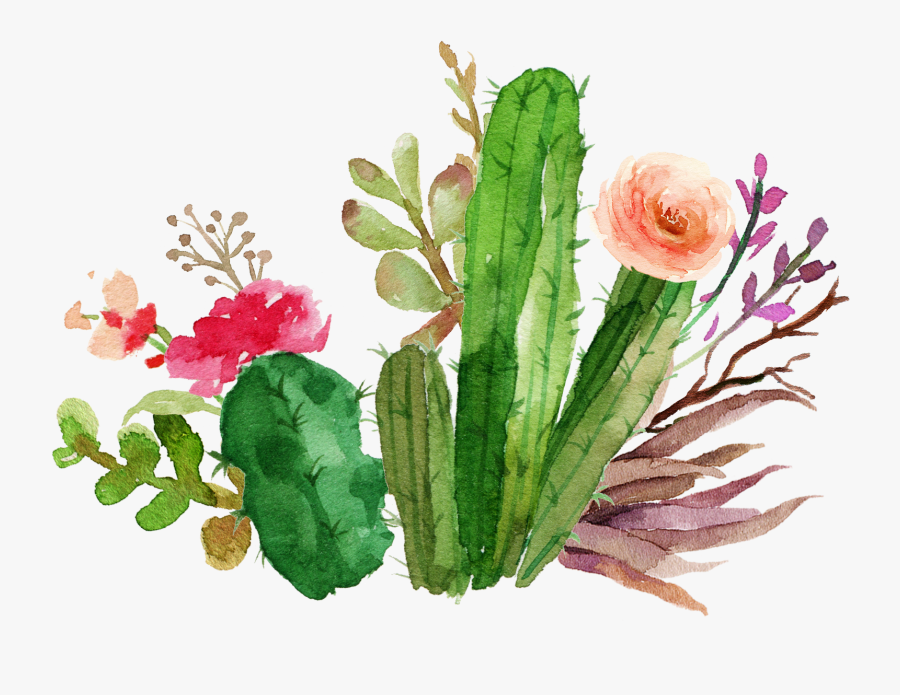 Png Flower Design - Transparent Background Watercolor Cactus Clipart, Transparent Clipart