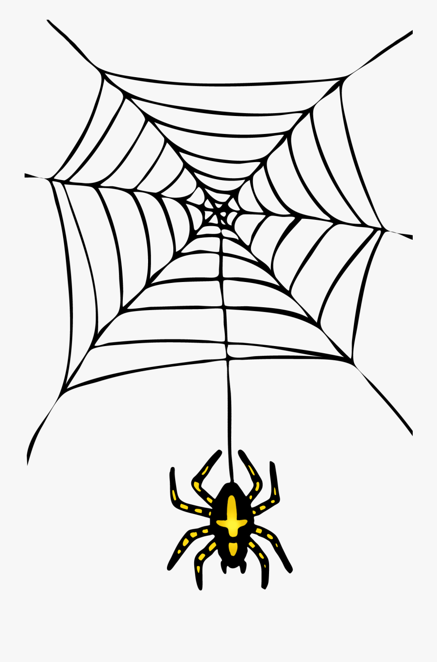 Transparent Spider Web Vector, Transparent Clipart