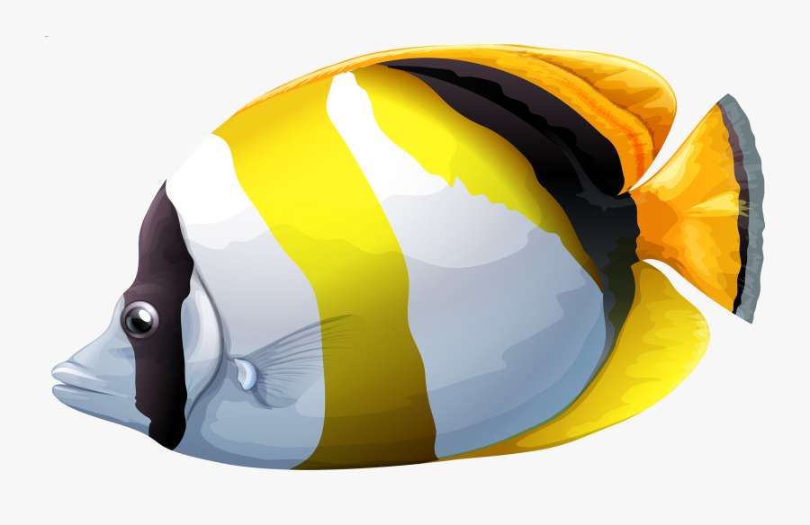Chaetodon Butterfly Fish Png Clipart - Transparent Background Tropical Fish Png, Transparent Clipart