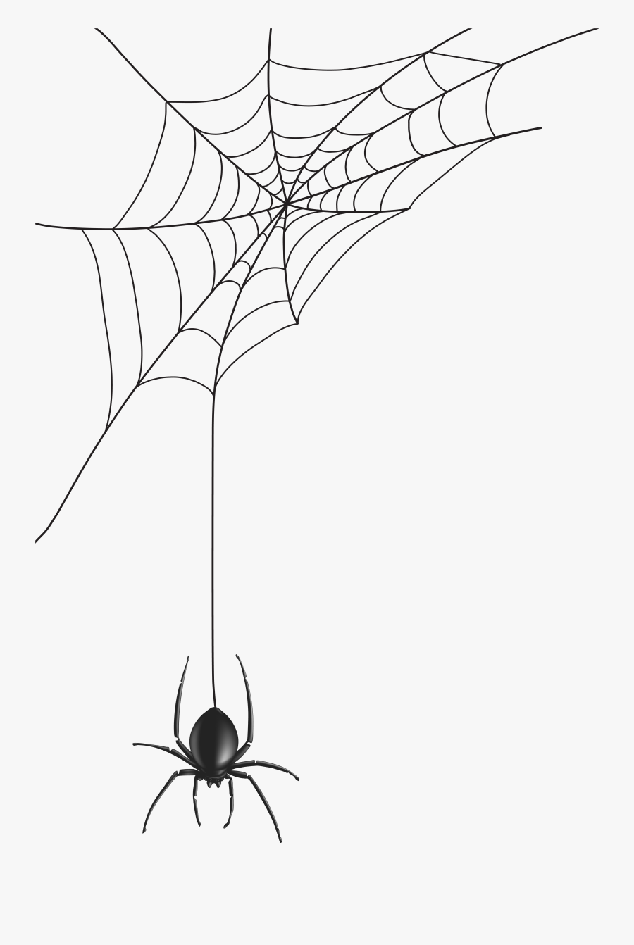 Spider Clipart, Transparent Clipart