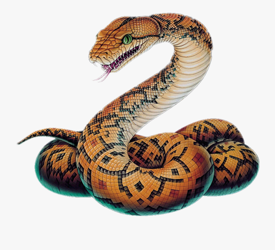 Transparent Snake Png Clipart - Python Snake Drawing , Free Transparent