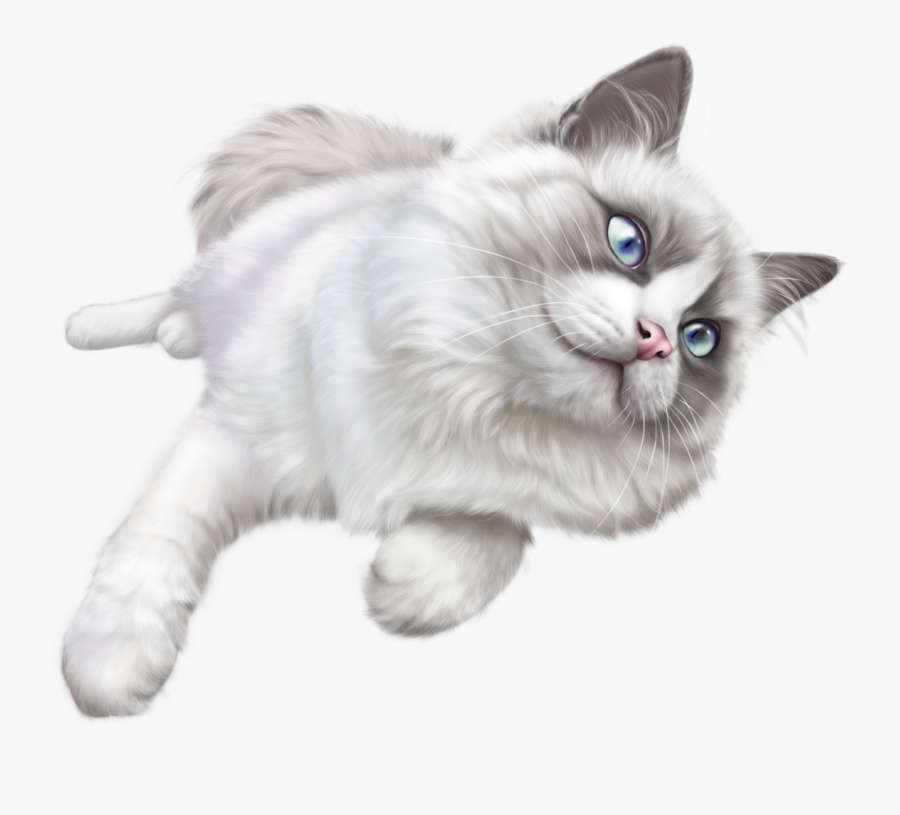 White Cat Png Clip Art - White Cat Transparent Background, Transparent Clipart