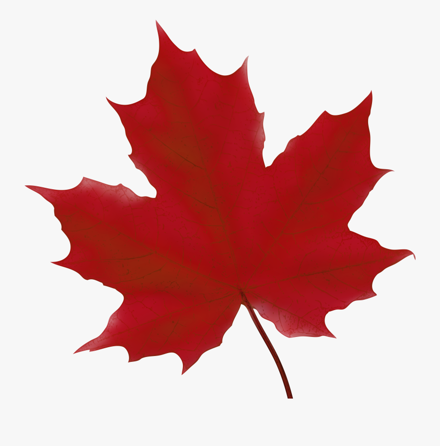 Clip Art Svg Freeuse Huge - Happy Canada Day 2018, Transparent Clipart