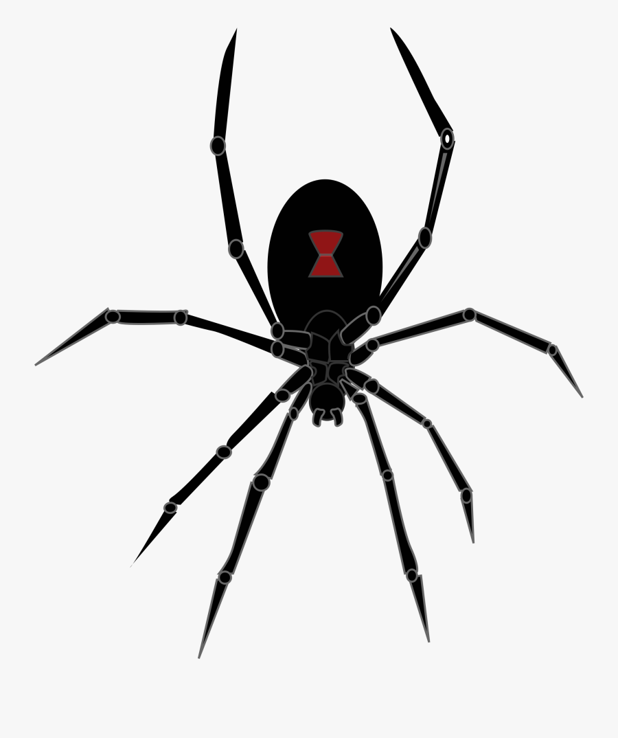Black Widow Spider - Halloween Black Widow Spider, Transparent Clipart