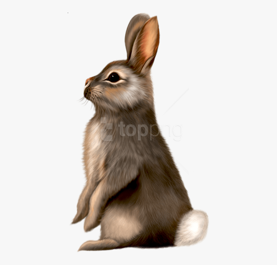 Free Png Painted Brown Bunny Png Images Transparent - Brown Easter Bunny Clip Art, Transparent Clipart