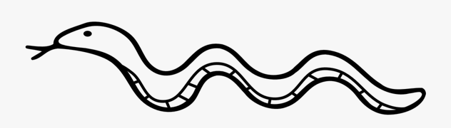 Snake, Reptile, Lizard, Nature, Serpent, Adam And Eve - Snake Cartoon Black And White, Transparent Clipart
