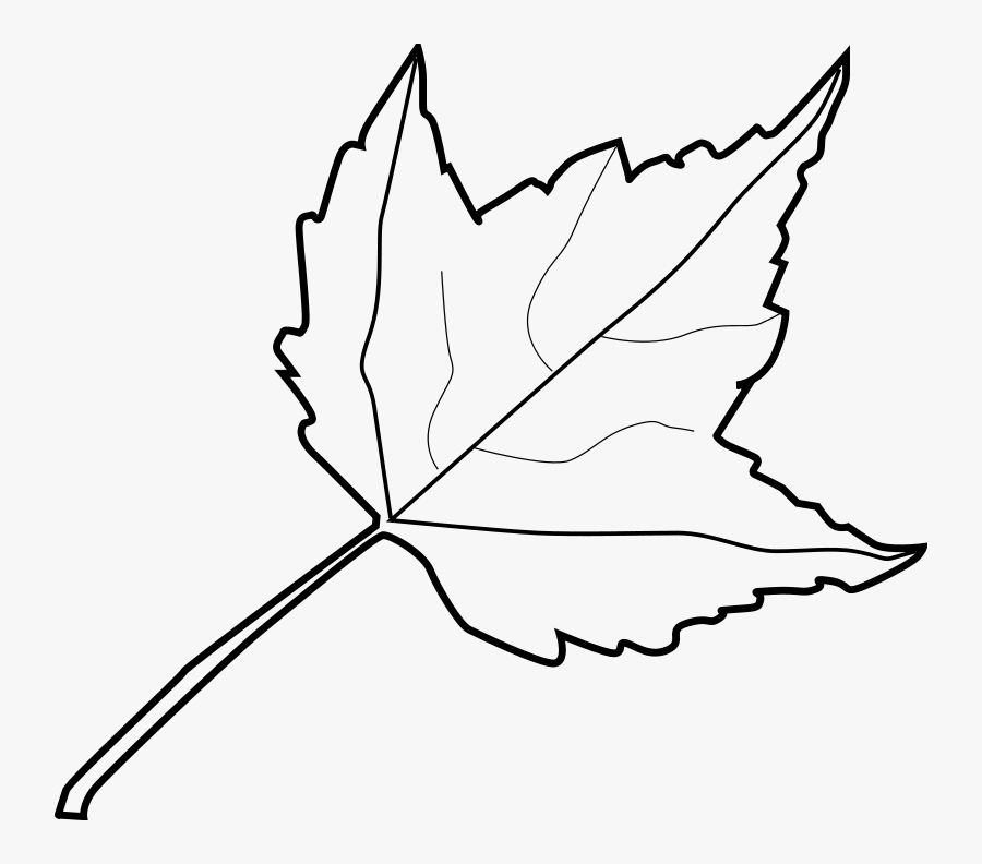 Leaf Outline Tree Outline With Leaves Clipart - Black And White Leaf Clipart, Transparent Clipart