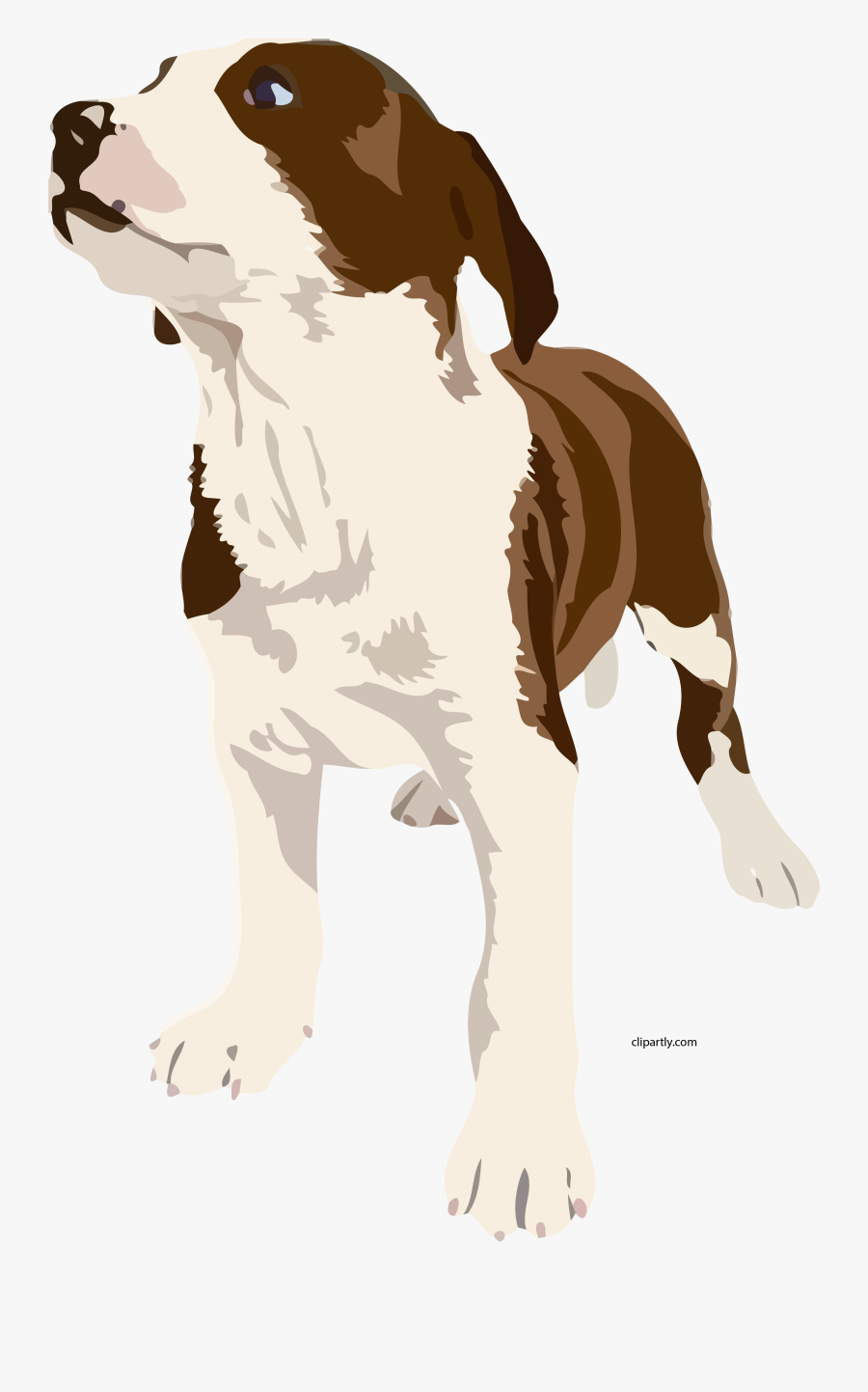 Dog Realistic Clipart Png - Brown And White Dog Clipart, Transparent Clipart