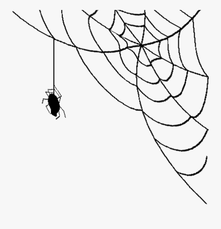 Transparent Background Spider Web Png Transparent, Transparent Clipart