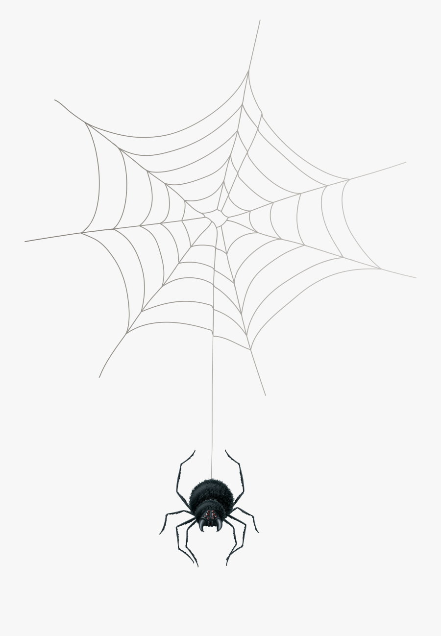 Web Png Clip Art - Spider Web, Transparent Clipart