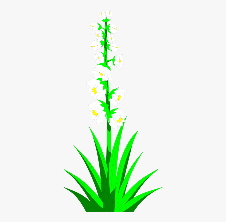 Plant Clipground Clip Art - Yucca Plant Clipart, Transparent Clipart