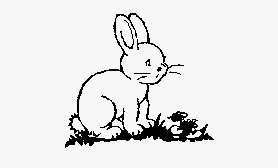 Svg Royalty Free Stock Collection Of Rabbit - Clip Art Black And White Bunny, Transparent Clipart