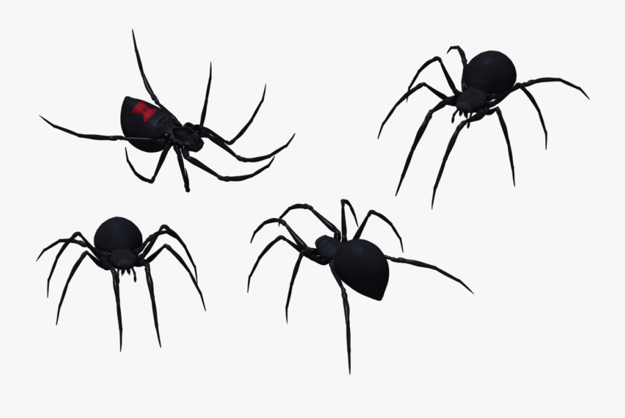 Spider Clipart Tribal - Vector Spider Png, Transparent Clipart