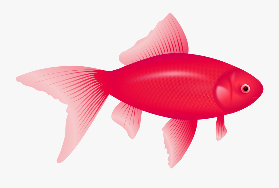 One Fish, Two Fish, Red Fish, Blue Fish Clip Art - Fish Clipart No Background, Transparent Clipart