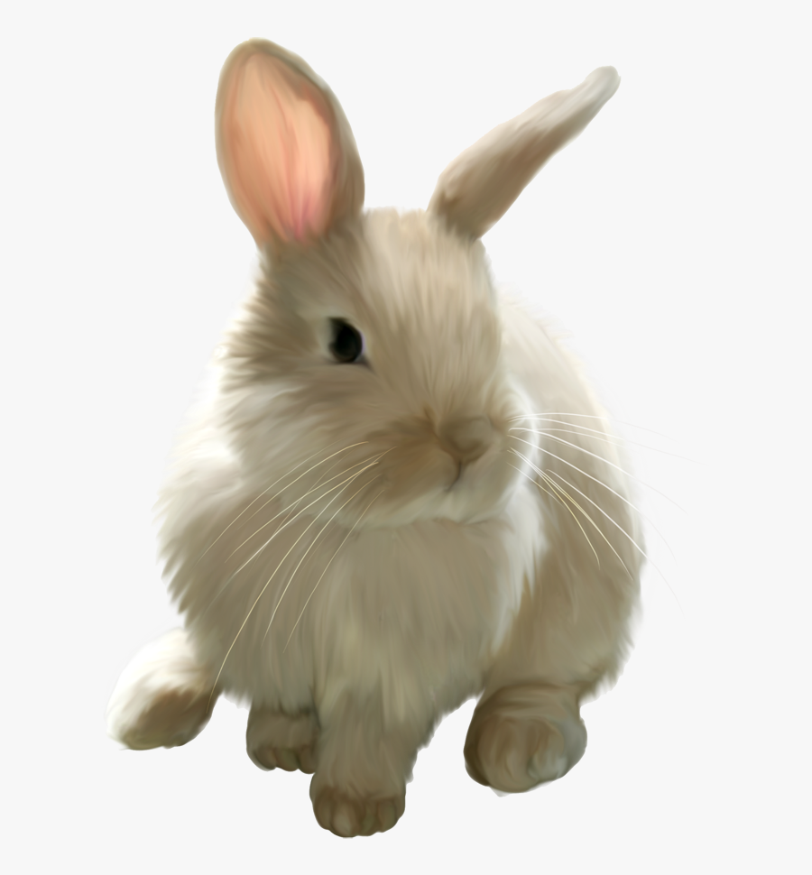 Cute Picture Painted Rabbit Easter Bunny Clipart - Bunny Clipart Transparent Background, Transparent Clipart