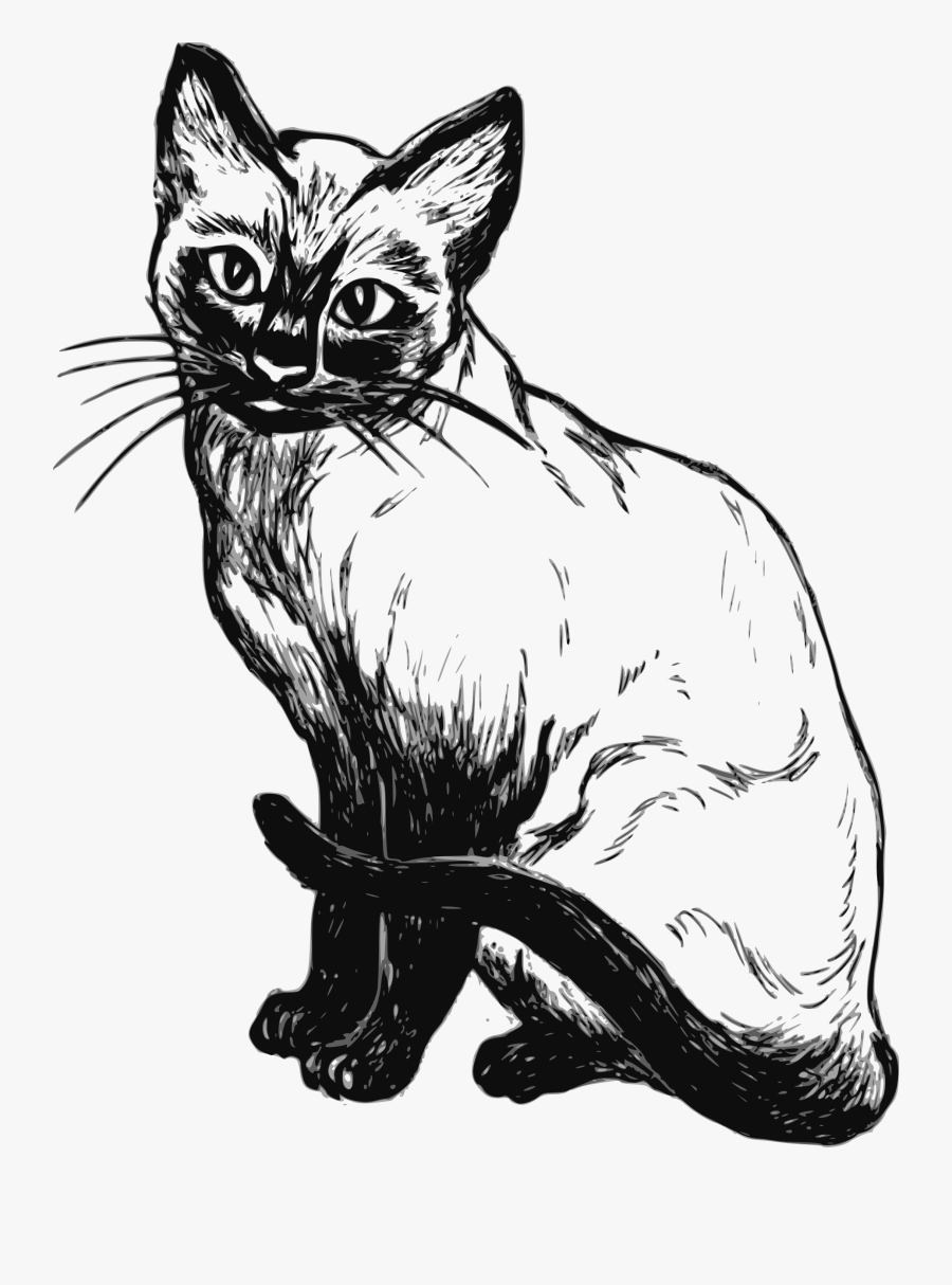 Cat Clip Art Downloadclipart Org - Cat Black And White Png, Transparent Clipart