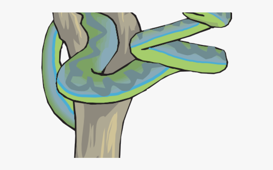 Serpiente En Un Arbol, Transparent Clipart