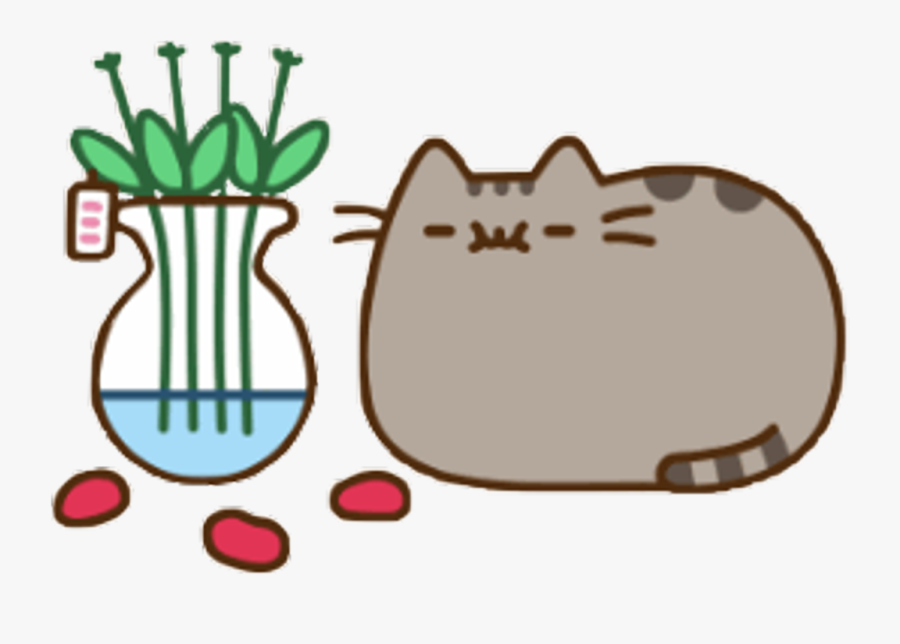 pusheen with popcorn
