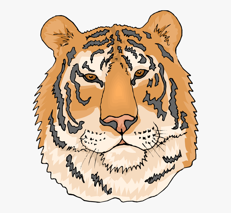 Coloring Pages Of Tigers, Transparent Clipart