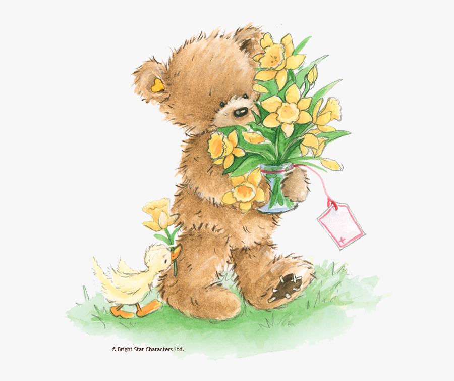 Bear, Transparent Clipart