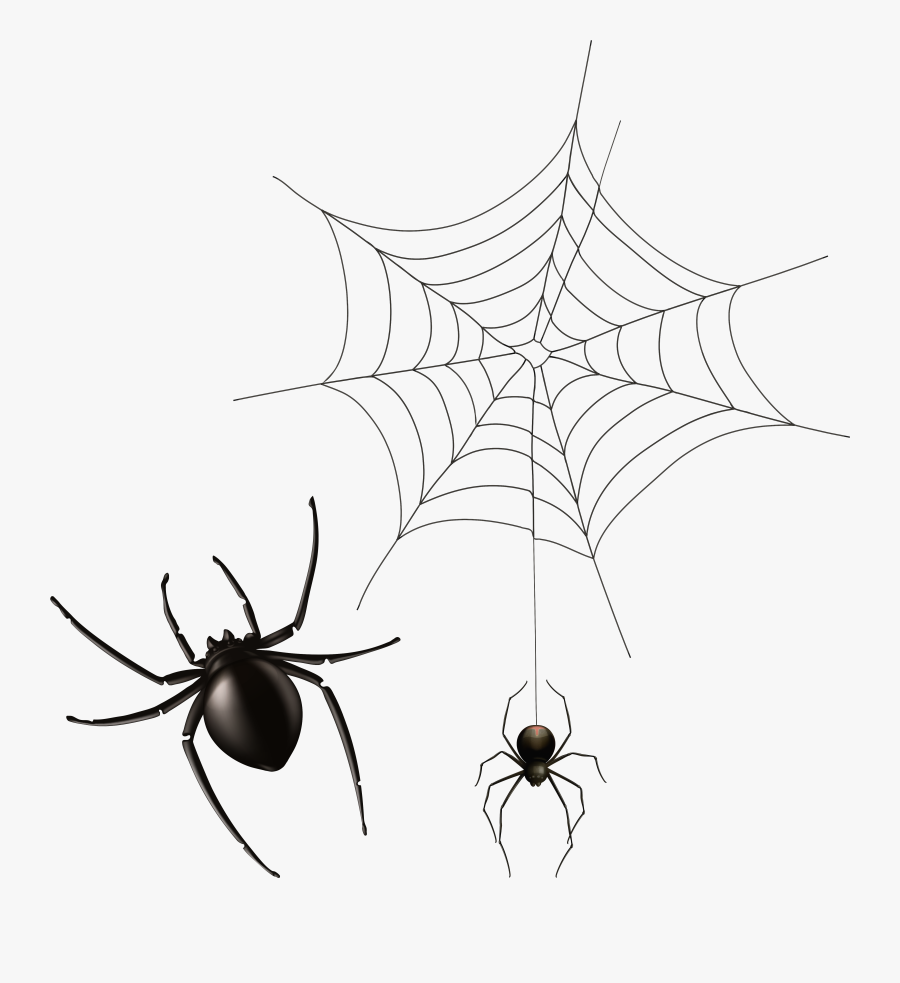 Transparent Background Spiders Web Clipart, Transparent Clipart
